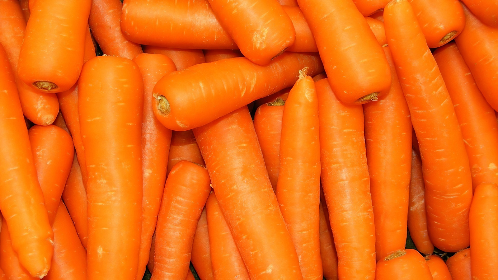 Carrot Intake to Lower Incidence of Urothelial Cancer